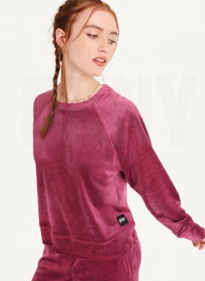 Purple Women's DKNY Platinum Velour Pullover Sweatshirts | Australia-D0182